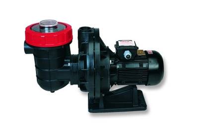 1.5 Hp Monofaze 220V Havuz Pompası Ön Filitreli Nozbart