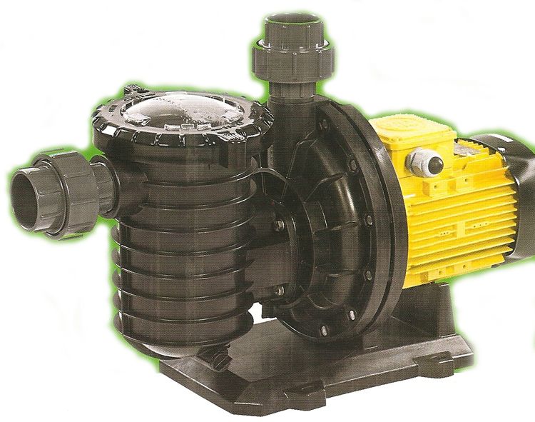 0.75 hp (0,55 kw) / 220V Ön Filtreli Havuz Pompası Atlas