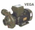VEGA - 2 Hp(1,5kw) Monofaze 220 Volt Alem Bertola