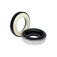 H60-CMS-AB65 - ( 7.5-10-15-20 Hp ) Mekanik Salmastra - Alem Bertola