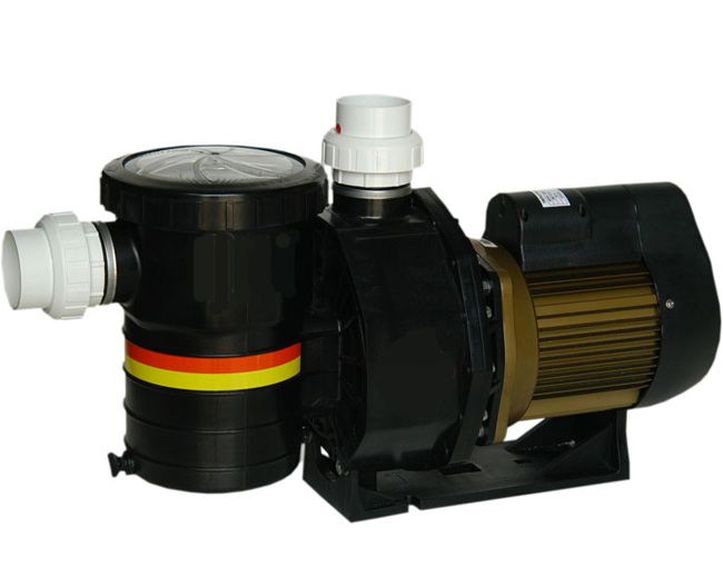 2 Hp (220V Monofaze) Havuz Pompası General Water